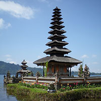 Tropical Beach Paradise