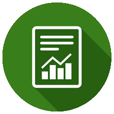 Mavix Accounting Pro